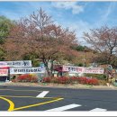 평산마을길 이미지