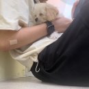 미용특공대 이미지