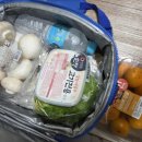 덕구숨황토민박 | 뜨끈하고 행복한 겨울국내여행 1탄 ♨️경북 울진 덕구온천 스파월드♨️