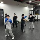 동탄센트럴복싱짐 이미지