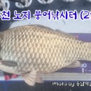 고촌읍 신곡리 141-16 | 주말 추천 노지 붕어낚시터 (25년 2월 2주)