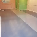 늘, 고운펫 이미지