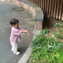 만리포약국 | 7월 일상 photo dump: 24년 하반기 start