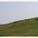 삼원목장 이미지