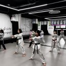 한양대 효태권도장 이미지