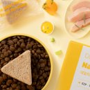 (주)큐브 | 강아지를 위한 건강한 선택, 화식큐브 후기!