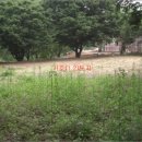 경기도 양평군 수입초등학교 이미지