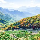 목천읍 서흥리 273-4 | 권오중 부의장 “처음부터 철저히 따졌어야”…허가 뒤 다시 보는 흑성산 10만 평 수목장
