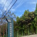 학암포주유소 이미지