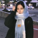 소라뷰티 | [무센트]시그니처 머플러 롱-소라 체크 후기