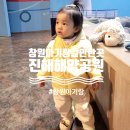 어류 | 창원 아기랑 갈만한곳 진해해양공원 어류생태학습관 솔라타워 후기
