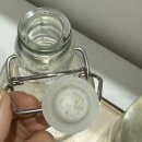 돌핀리조트 | 보홀 가성비 0.5박 숙소 돌핀베이 리조트 조식 솔직 후기 굳이..?