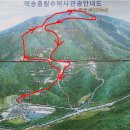 예산-11 이미지