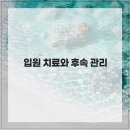 송도종합동물병원 네이버블로그