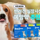 코끼리 약국 이미지