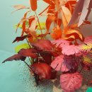 더콜럼버스308 | 아름다움 속에 잠길 전시 Blooming land: 피어나는 아름다움/전시추천,인사동전시