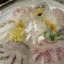 오대양회집 | 속초 장사항 횟집 바다가 보이는 오대양횟집