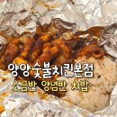 호랑이 숯불 두마리치킨 본점 | 아산 배방 :: 양양숯불 두마리치킨 본점 양념반 소금반 땡겨요 상생지원금 배달 후기