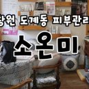 소온미 네이버블로그