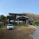 블루버드 | [인천 논현동 카페] 블루버드 카페 내돈내산 솔직후기