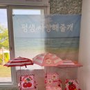 사랑을줄개 이미지