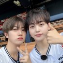 디어브리즈