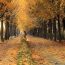 위례성로 이미지