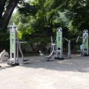 늘푸른조경 - 해남군 해남로 160-29 | 늘푸른조경