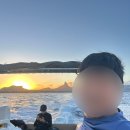 고래꿈호텔 | 모리셔스 고래 투어 예약 방법 가격 후기