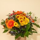 정겨운마을 이미지