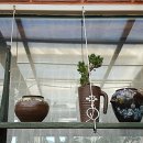 혜도부동산중개 이미지