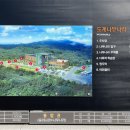 나무나라 네이버블로그