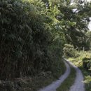 수곡1구 이미지