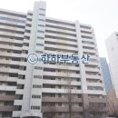 장미아파트 앞 이미지