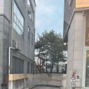 세종우체국 건너편 이미지