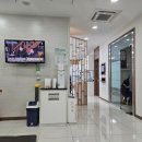 서울본치과의원 | 30대 임플란트 웬말이냐...내돈내산 중랑구 망우 상봉 서울본치과 후기 1