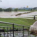 세종태양광발전소 이미지