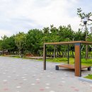 염전해변 이미지