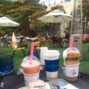 메르블루 이미지