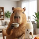 보해 | 2026년 리뉴얼한 보해양조 순희 막걸리 리뷰: 부드러운 맛에 반한 솔직 후기