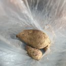 간식 텃밭 만들기 이미지