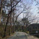 새봄목장 이미지