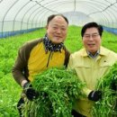 미나리슈퍼 이미지