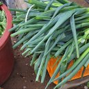 구항농장 이미지