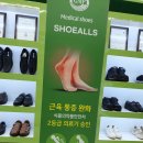 슈올즈서남