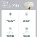 생활체육공원로 이미지