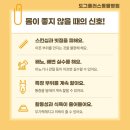 울진동물병원 | 울진강아지성대수술 봉화강아지성대수술, 단순 ‘짖음 감소’가 아닌 안전 구조가 먼저입니다