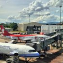 달천로(중2-121) | 인천 세부 티웨이항공 왕복 TW121 / TW122 탑승, 기내식 후기