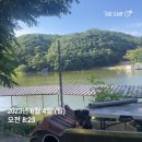 그린좌대1 낚시터 네이버블로그