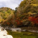 언제나,예쁘다 이미지